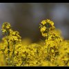 20140420_1314